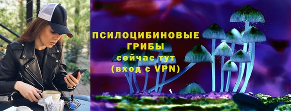 МДПВ Алексин