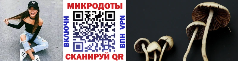 Галлюциногенные грибы MAGIC MUSHROOMS  дарнет шоп  Лермонтов 